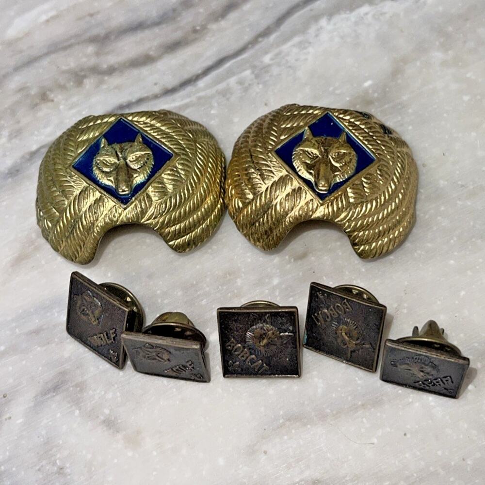 Boy Scouts Cub Scout Pin Lot, 7 Wolf Neckerchief Slides Bobcat Bear Pins BSA VTG